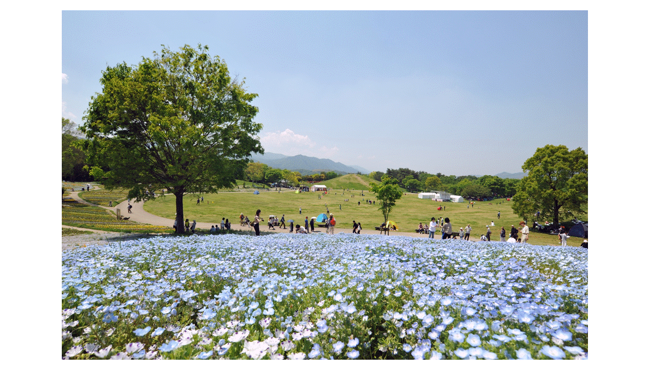 公園イメージ